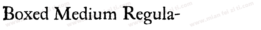 Boxed Medium Regula字体转换